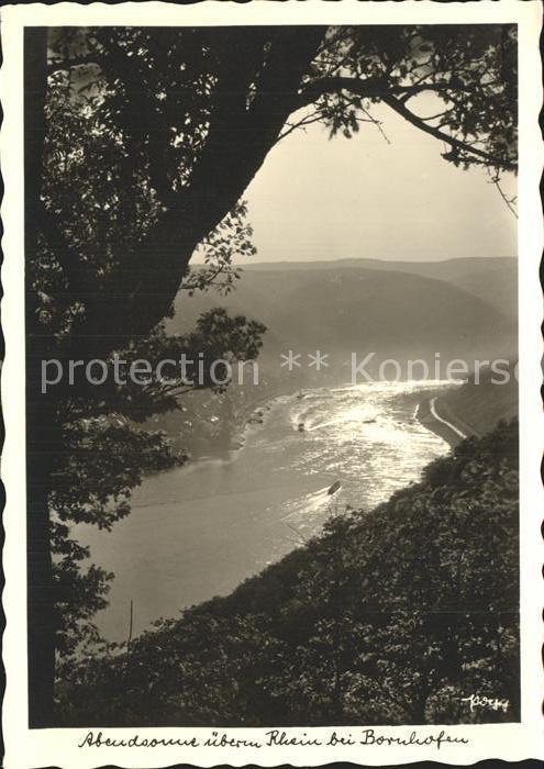 Foto Popp Nr. Rhein Bornhofen Abendsonne