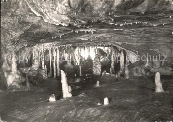 Hoehlen Caves Grottes Rübeland Hermannshöhle Untere Schwemmhö