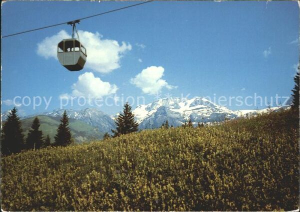 Seilbahn Lenk-Betelberg-Leiterli Wildstrubel Len