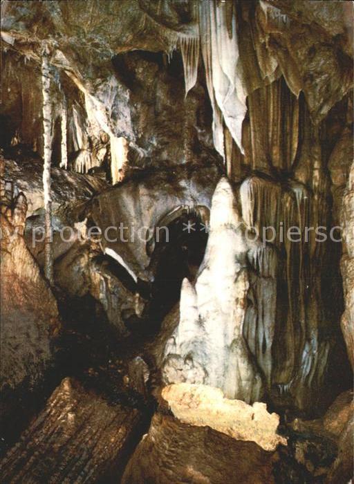 Hoehlen Caves Grottes Attendorn Tropfsteinhöhle Eisbär
