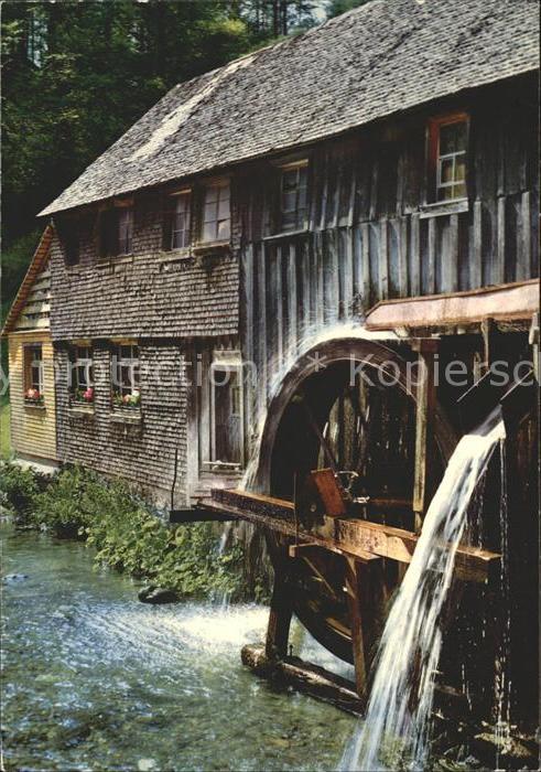 Wassermuehle Schwarzwald