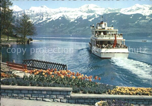 Motorschiffe Gunten Thunersee