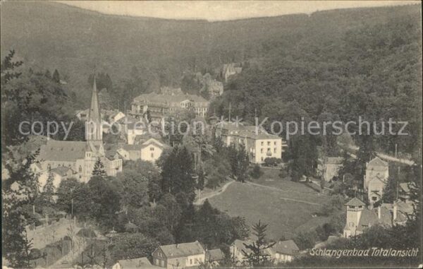 Schlangenbad Taunus Totalansicht