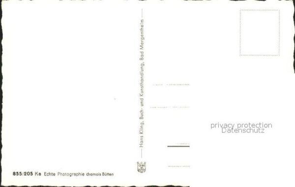 Bad Mergentheim Portal am Hospital Bütten – Bild 2