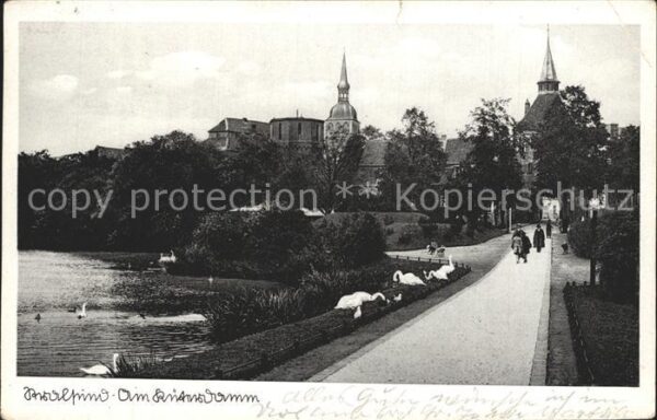 Stralsund Mecklenburg Vorpommern Promenade am Küterdamm Schwäne