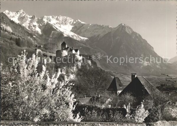 Vaduz Schloss mit Rappenstein und Falknis Rät