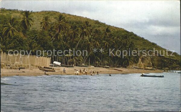 Martinique La Plage de cocotiere