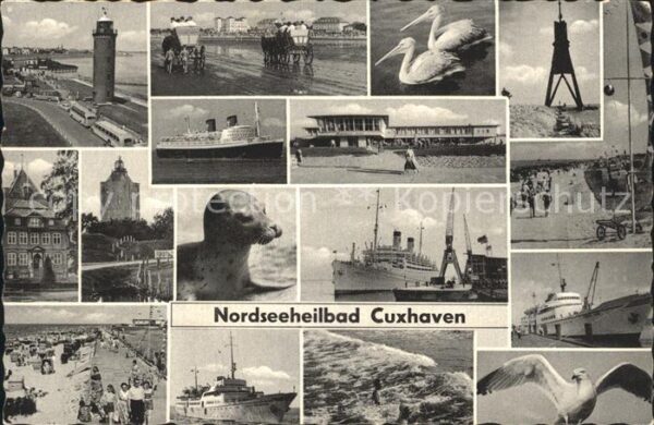 Cuxhaven Nordseebad Möwe Seehund Pelikan Schiff Promenade L