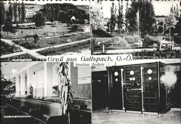 Gallspach Institut Zeileis