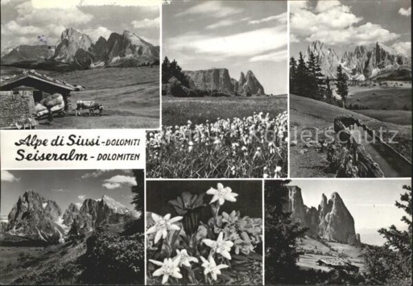 Seiseralm Chiemgau