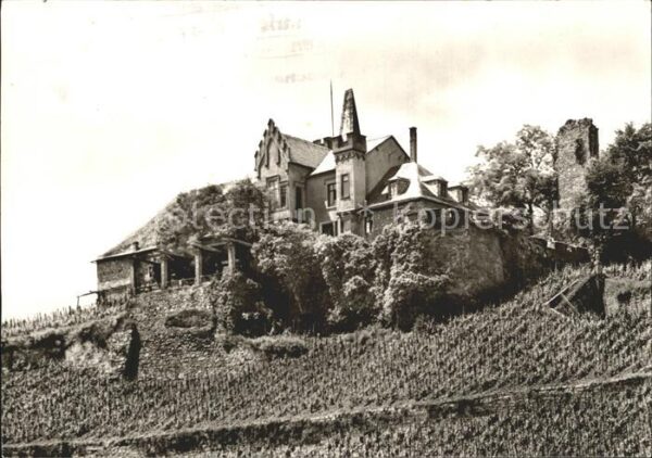Bad Kreuznach Kauzenburg