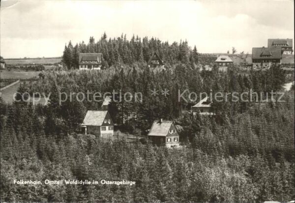 Falkenhain Altenberg Erzgebirge Waldidylle