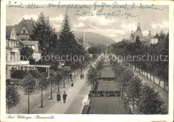 Bad Wildungen Brunnenallee