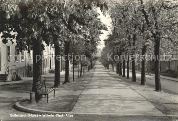 Ballenstedt Wilhelm Pieck Allee