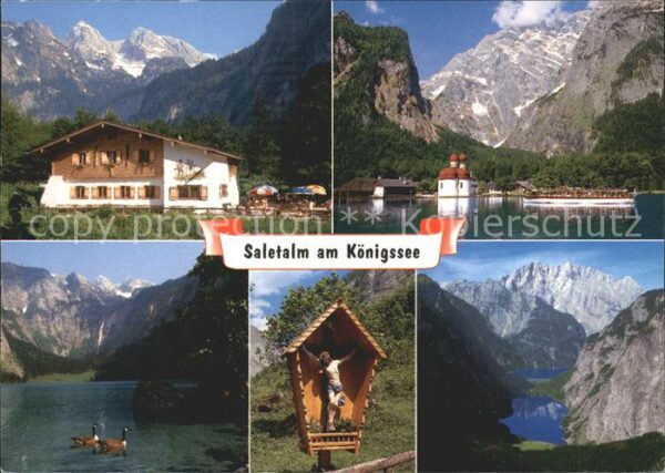 Koenigssee Gaststätte Saletalm Seepanorama Enten W