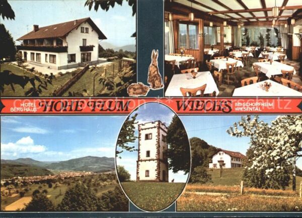 Wiechs Schopfheim Hotel Berghaus Hohe Flum Gastraum Panor