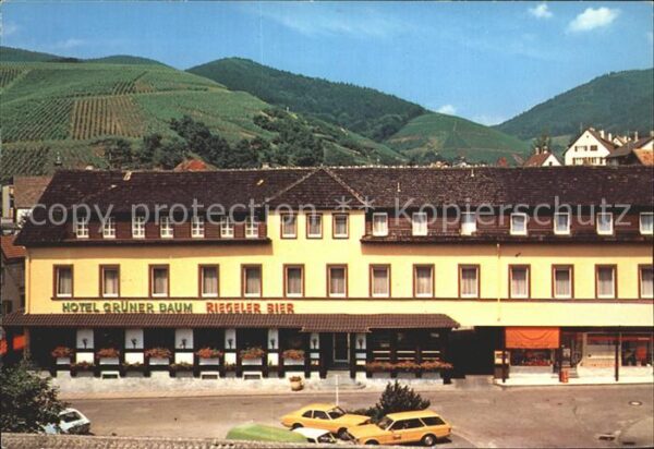Buehlertal Hotel Restaurant Grüner Baum