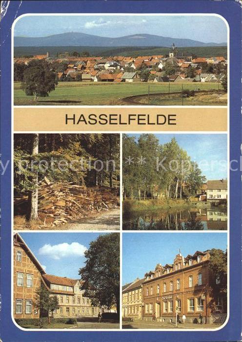Hasselfelde Stadtblick Holzköhlerei Teichstr Markt