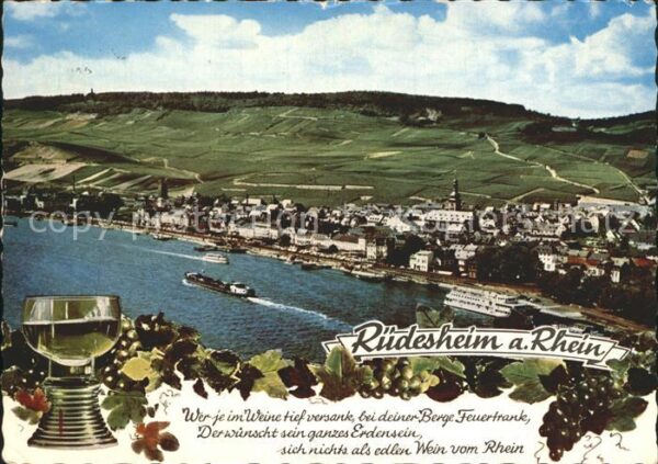 Ruedesheim Rhein Panorama