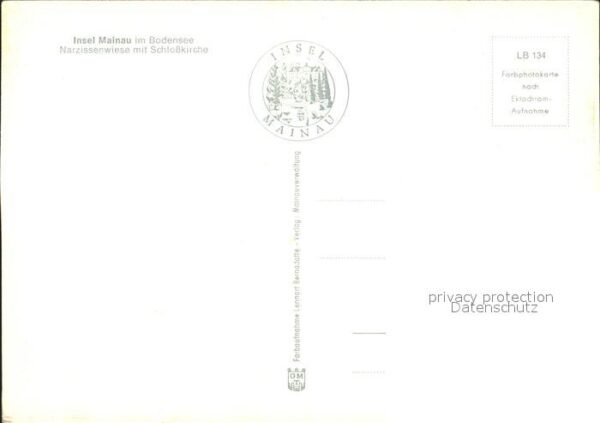 Mainau Narzissenwiese Schlosskirche – Bild 2