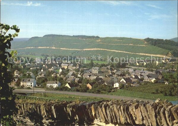 Muelheim Mosel Stadtansicht