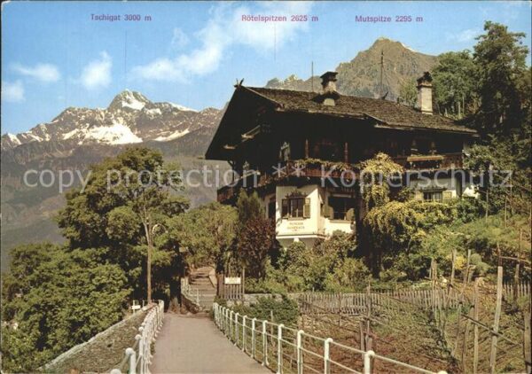 Meran Merano Tappeinerweg Pension Mimosa Saxifraga