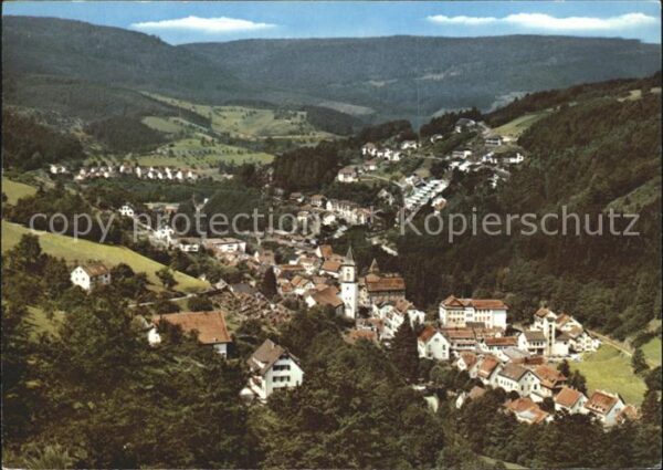 Bad Peterstal-Griesbach Fliegeraufnahme