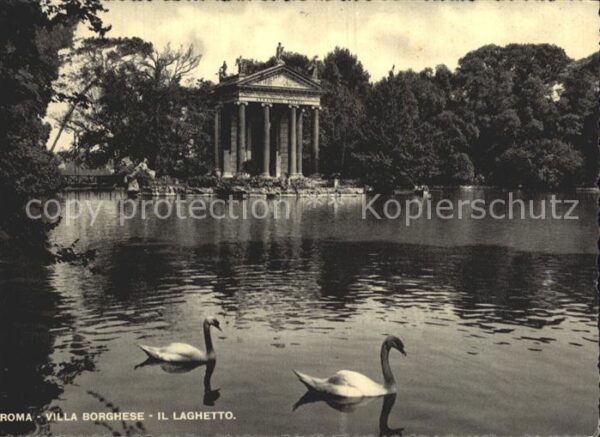 Roma Rom Villag Borghese Schwäne