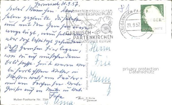 Gemse Gemsennest Nordostsüdwestwand Gamskogel – Bild 2