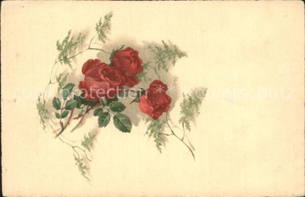 Rosen Litho Meissner-und-Buch-Verlag Serie 26