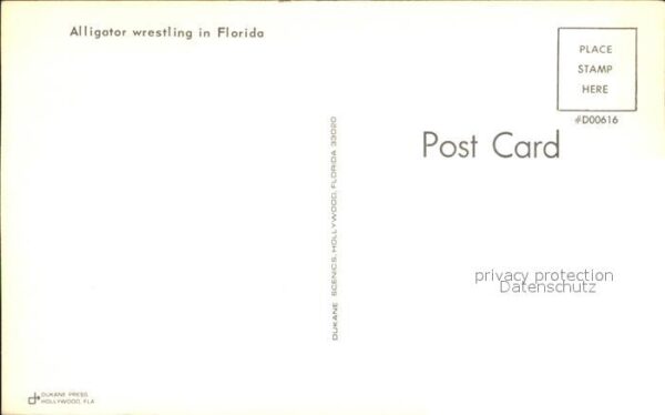 Krokodile Alligator wrestling Florida – Bild 2