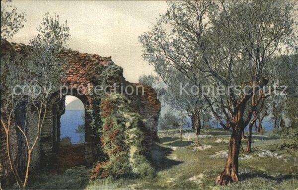 Verlag Photochromie Nr. 1850 Bäume Ruine