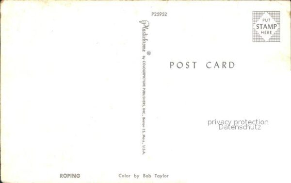 Pferde Rinder Roping – Bild 2