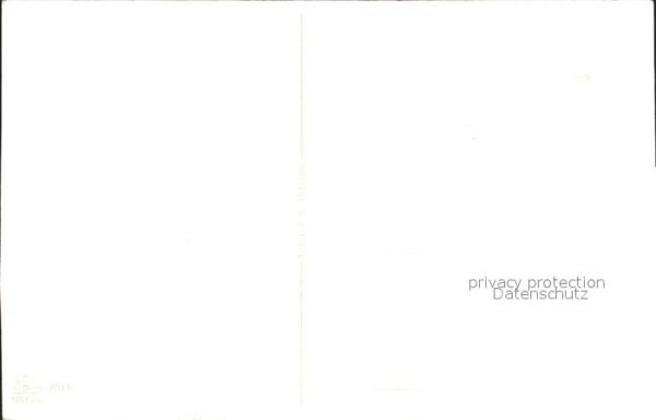 Rosen – Bild 2
