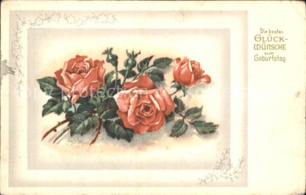 Geburtstag Rosen