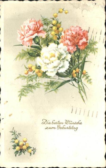 Geburtstag Nelken