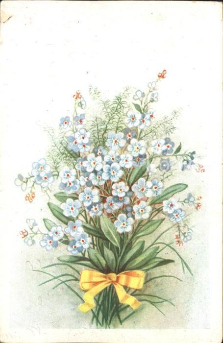 Blumen Vergissmeinnicht