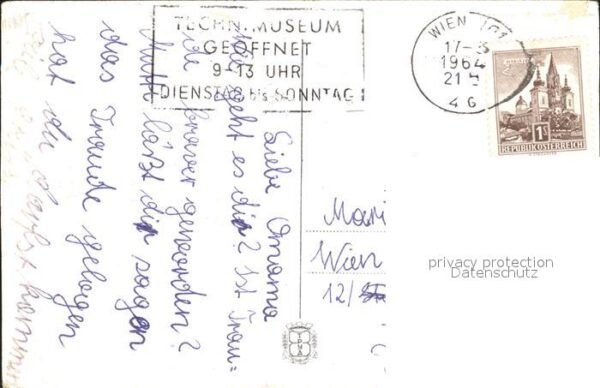 Blumen Vergissmeinnicht – Bild 2