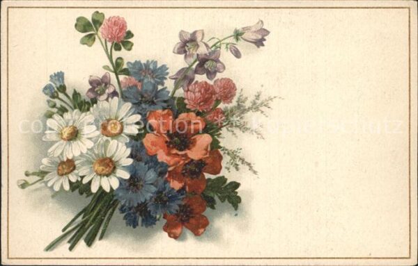 Blumen Mohnblumen Margeriten Kornblumen Litho
