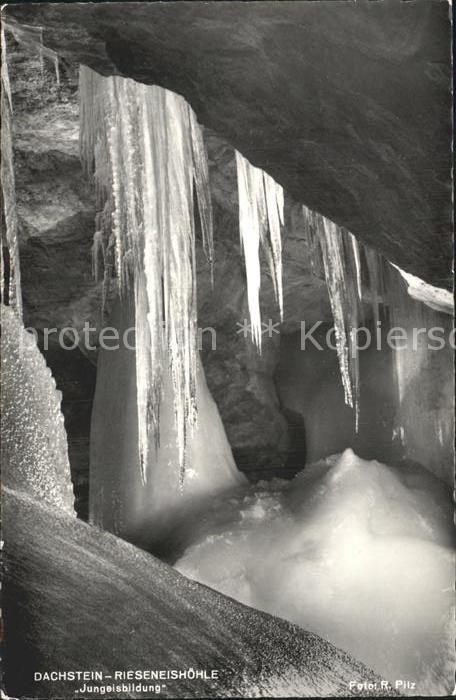 Hoehlen Caves Grottes Dachstein-Rieseneishöhle Jungeisbildung