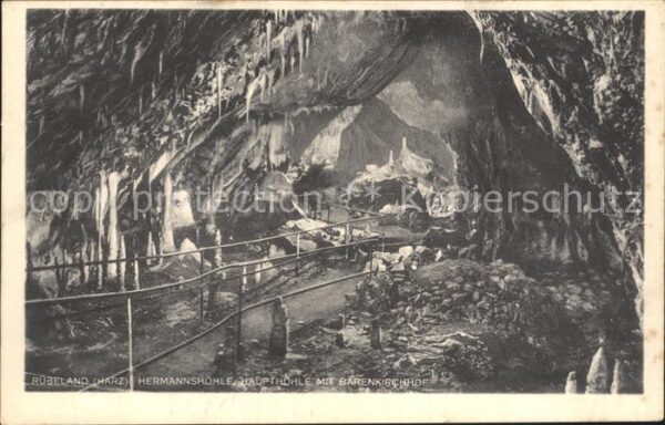 Hoehlen Caves Grottes Rübeland Hermannshöhle Haupthöhle Bären