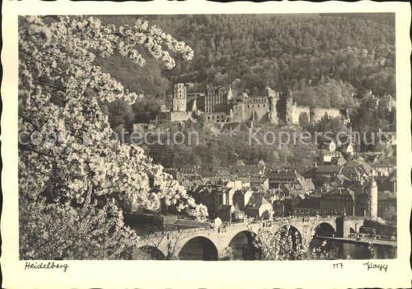 Foto Popp Nr. 117 Heidelberg