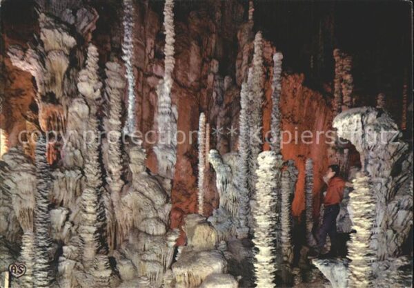 Hoehlen Caves Grottes Aven Armand Groupe de Stalagmites Foret