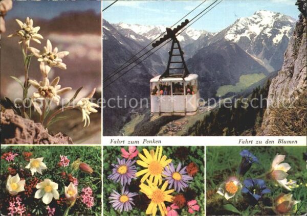Seilbahn Penkenbahn Zillertaler Hauptkamm Blumen
