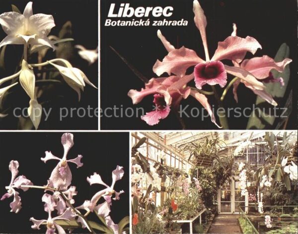 Blumen Liberec Botanicka zahrada