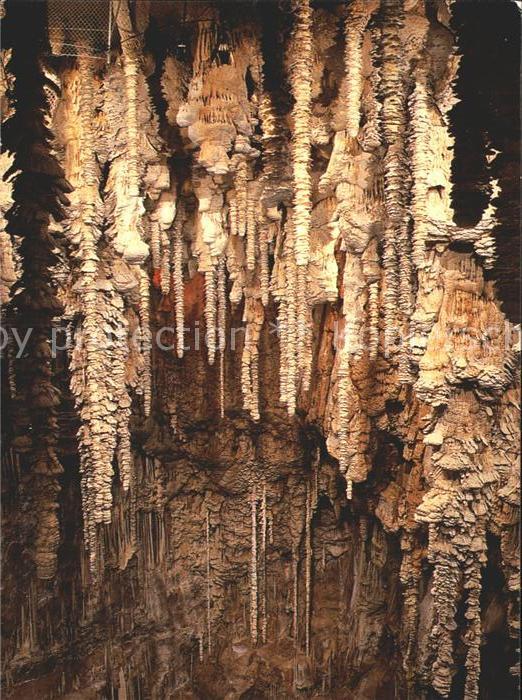 Hoehlen Caves Grottes Aven Armand Meyrueis Foret de stalagmit