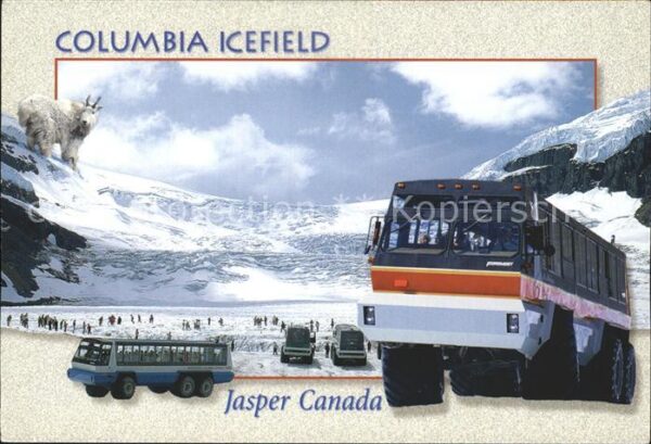 Gletscher Columbia Icefield Jasper National Park