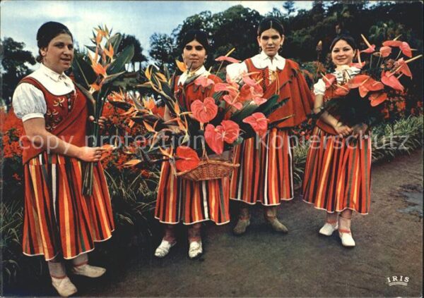 Trachten Portugal Funchal Madeira Sterilizia regina Anthu
