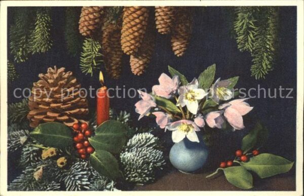Weihnachten Tannenzapfen Christblume Kerze