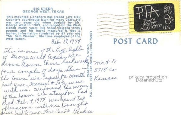 George West Big Steer – Bild 2